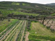 Agies Paraskies Kreta, Agies Paraskies: Großes Grundstück zu verkaufen Grundstück kaufen